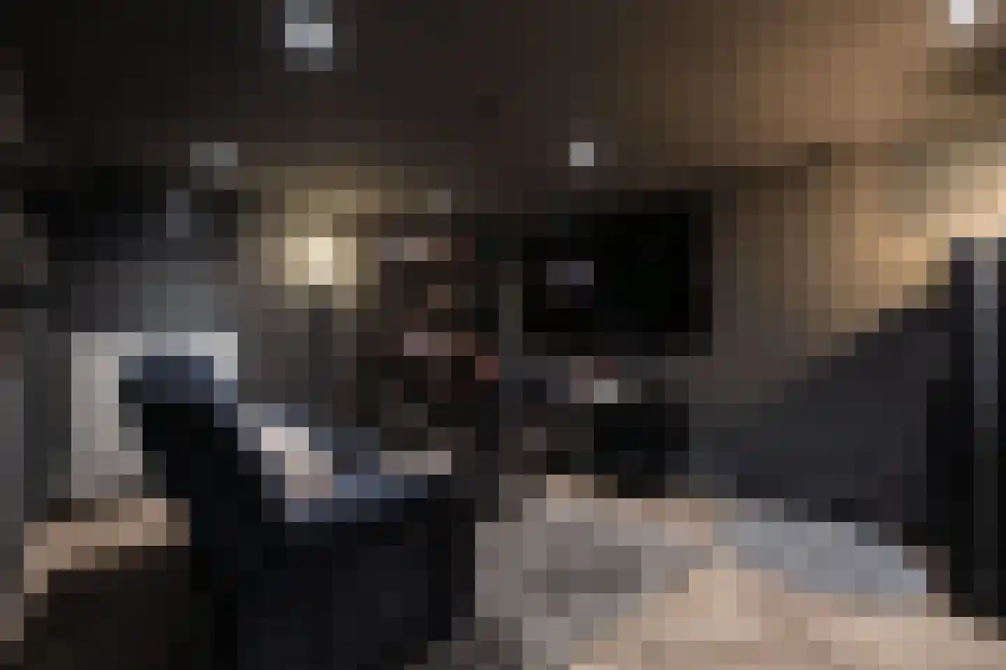 Hamsterlaan 7 Wageningen thumbnail 30