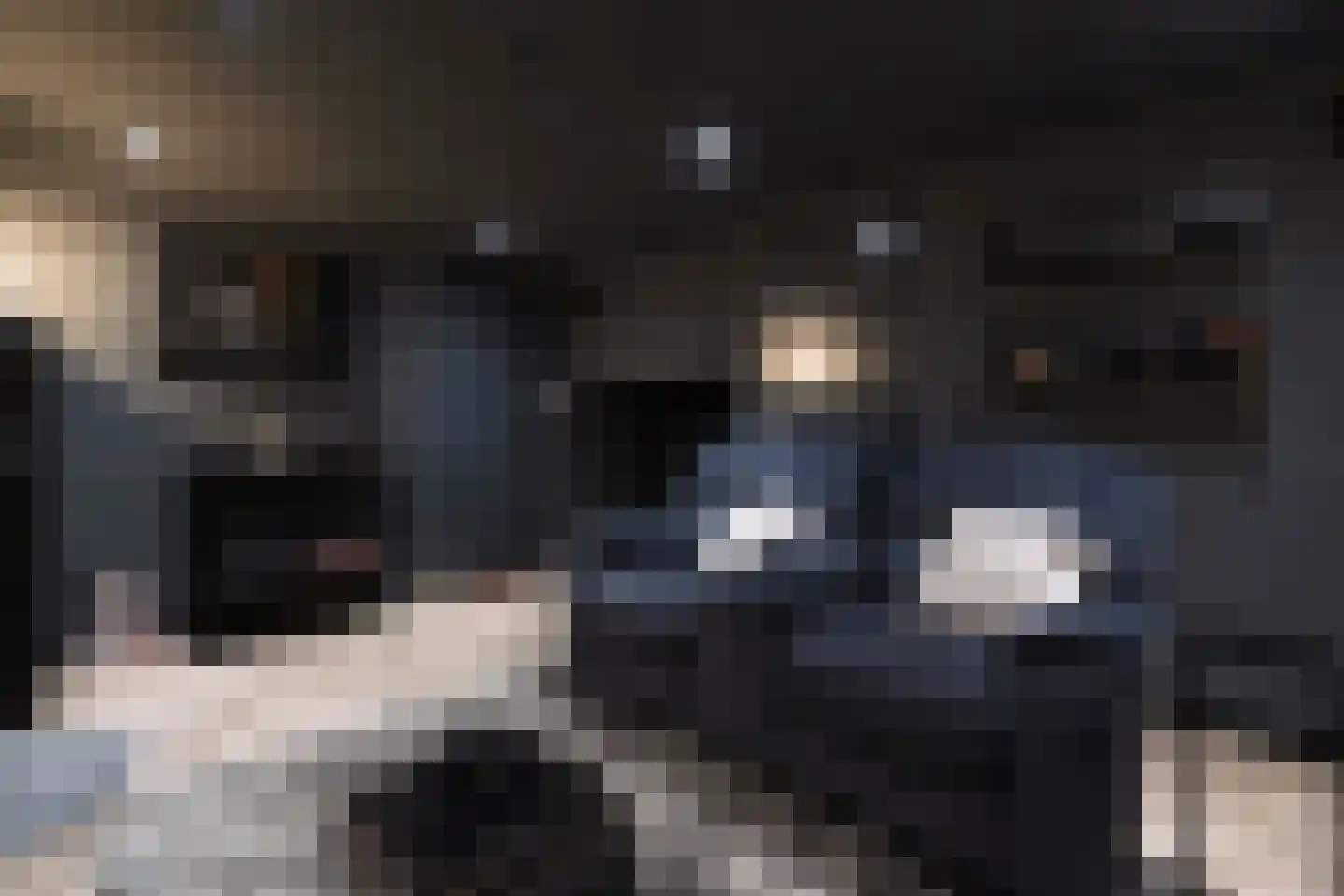 Hamsterlaan 7 Wageningen thumbnail 31
