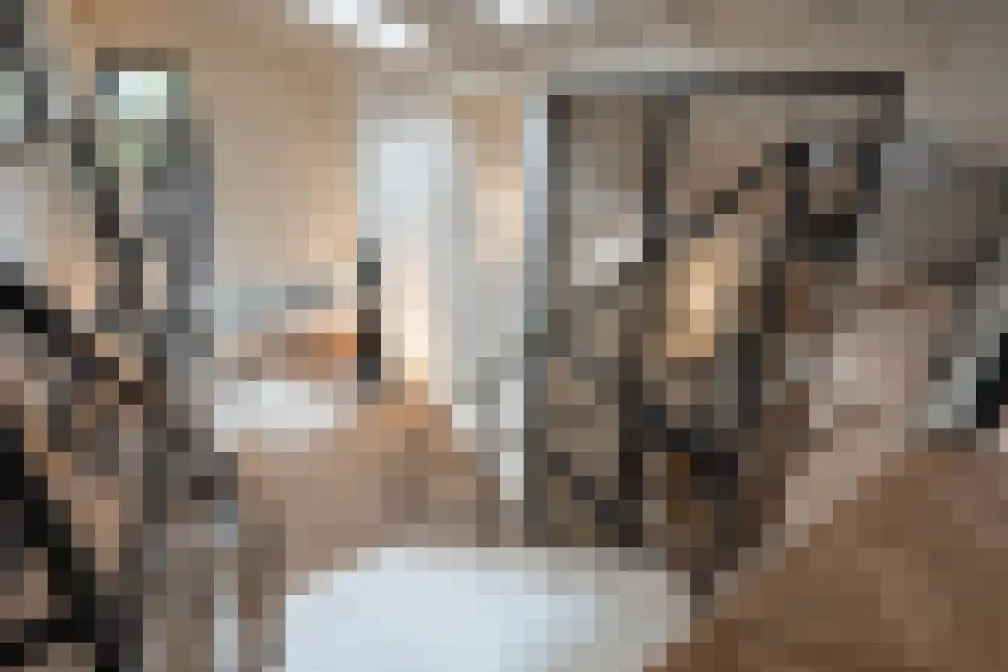 Hamsterlaan 7 Wageningen thumbnail 33