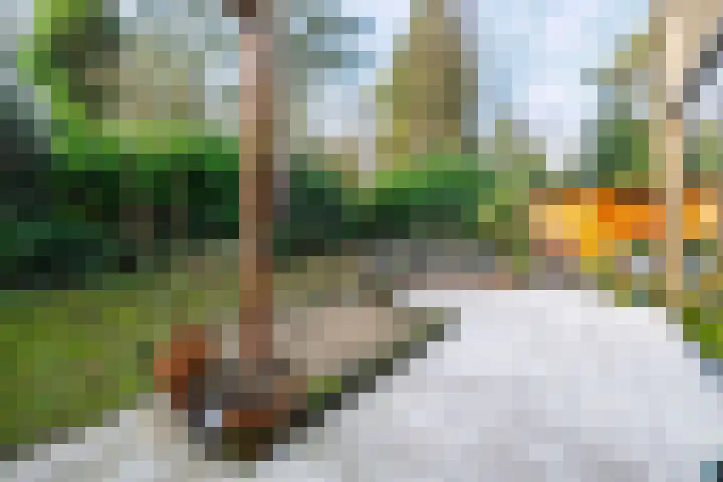 Hamsterlaan 7 Wageningen thumbnail 42