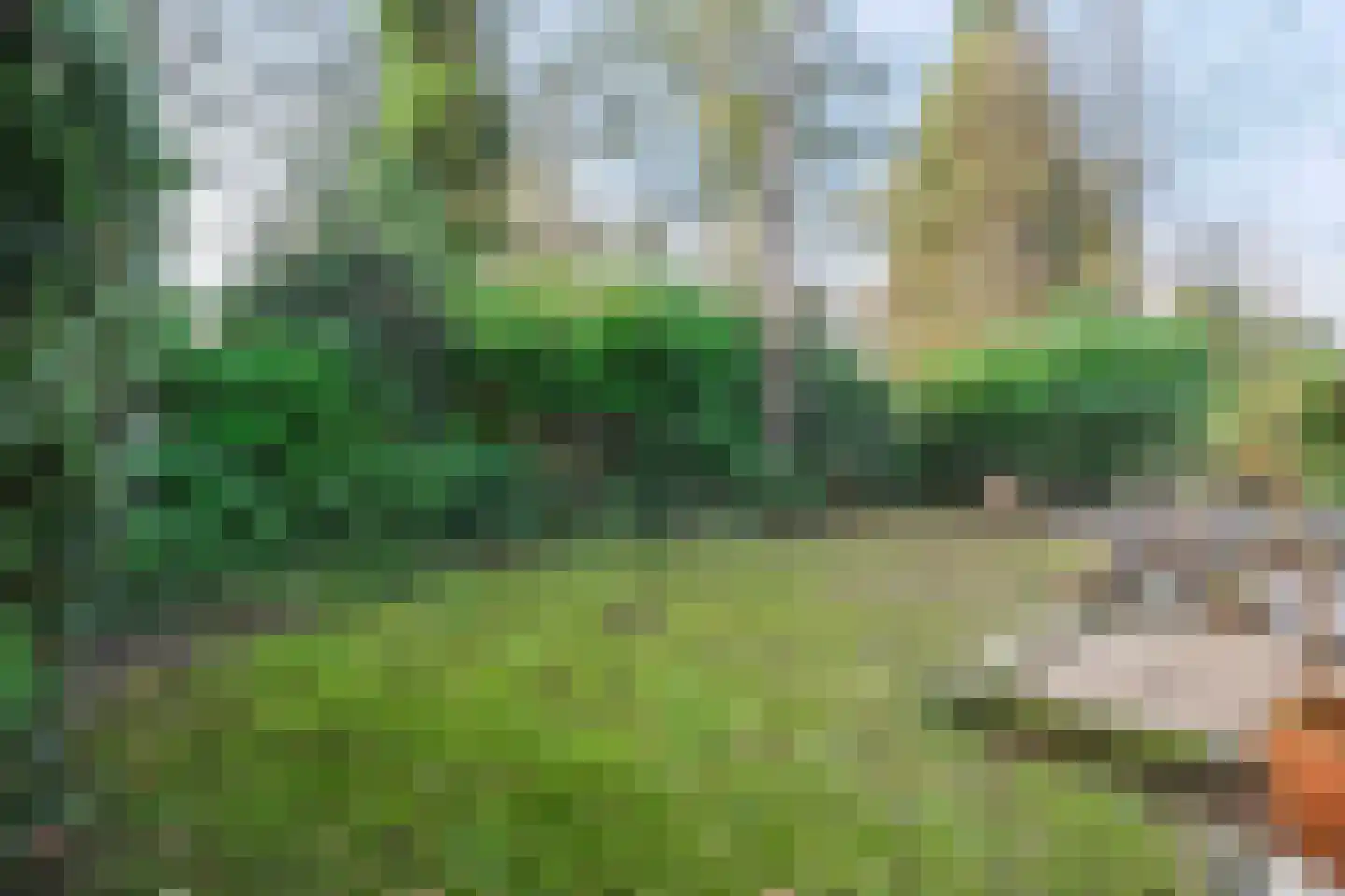 Hamsterlaan 7 Wageningen thumbnail 43