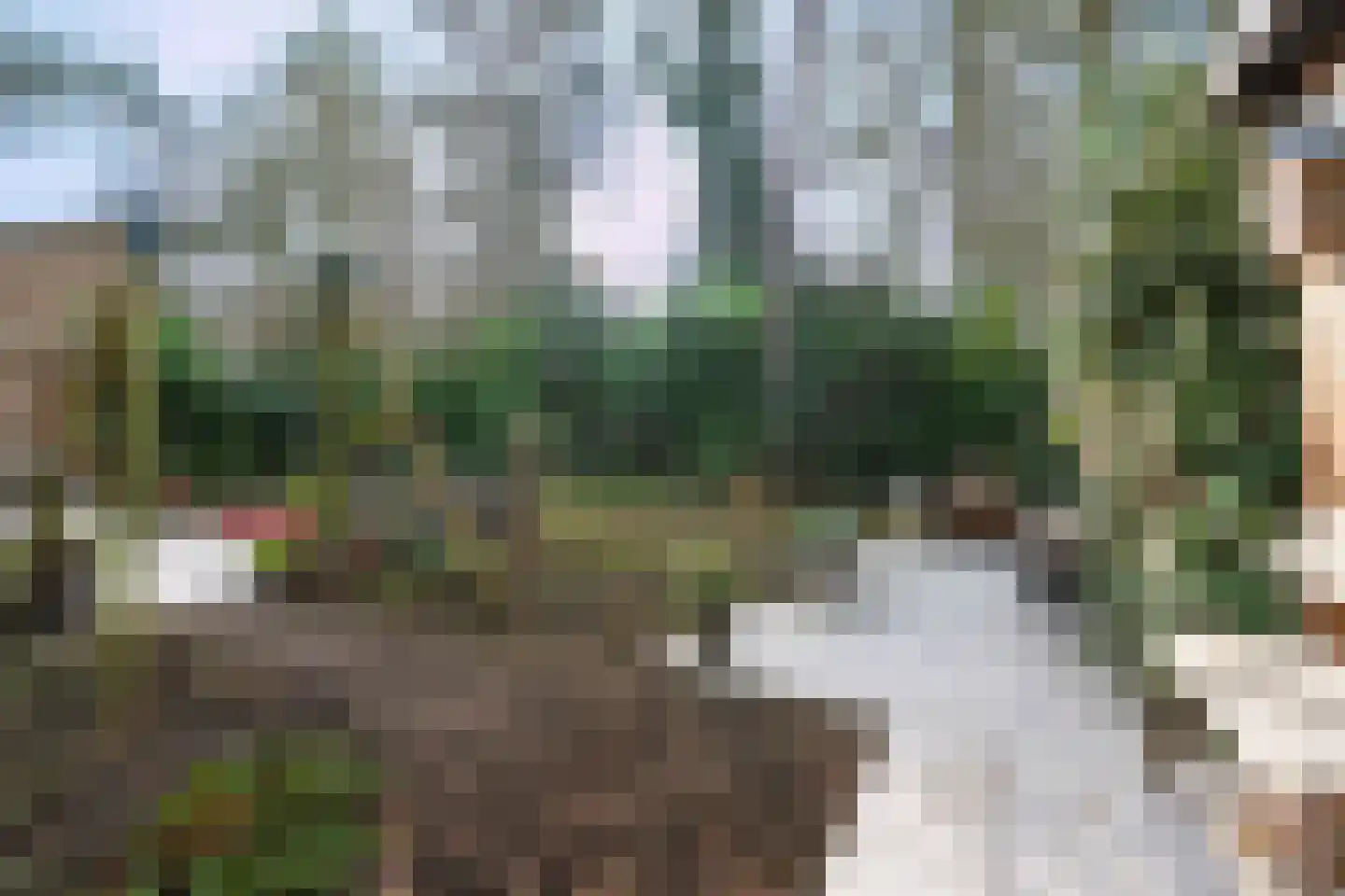 Hamsterlaan 7 Wageningen thumbnail 46