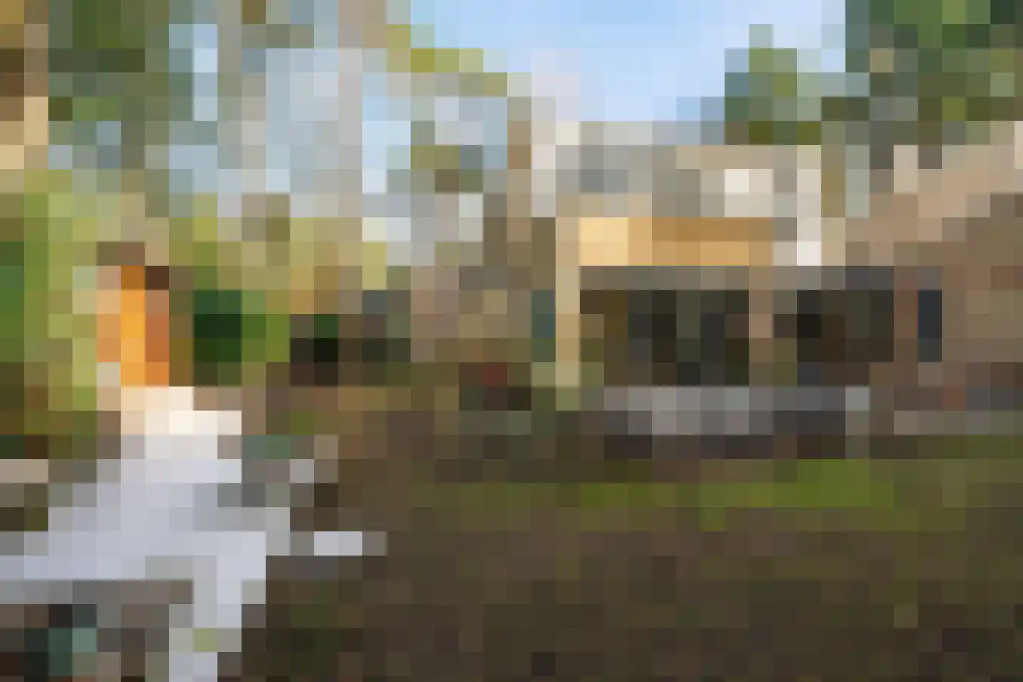 Hamsterlaan 7 Wageningen thumbnail 48