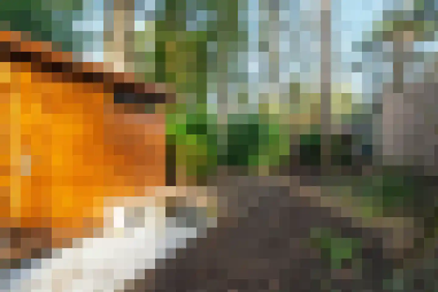 Hamsterlaan 7 Wageningen thumbnail 49