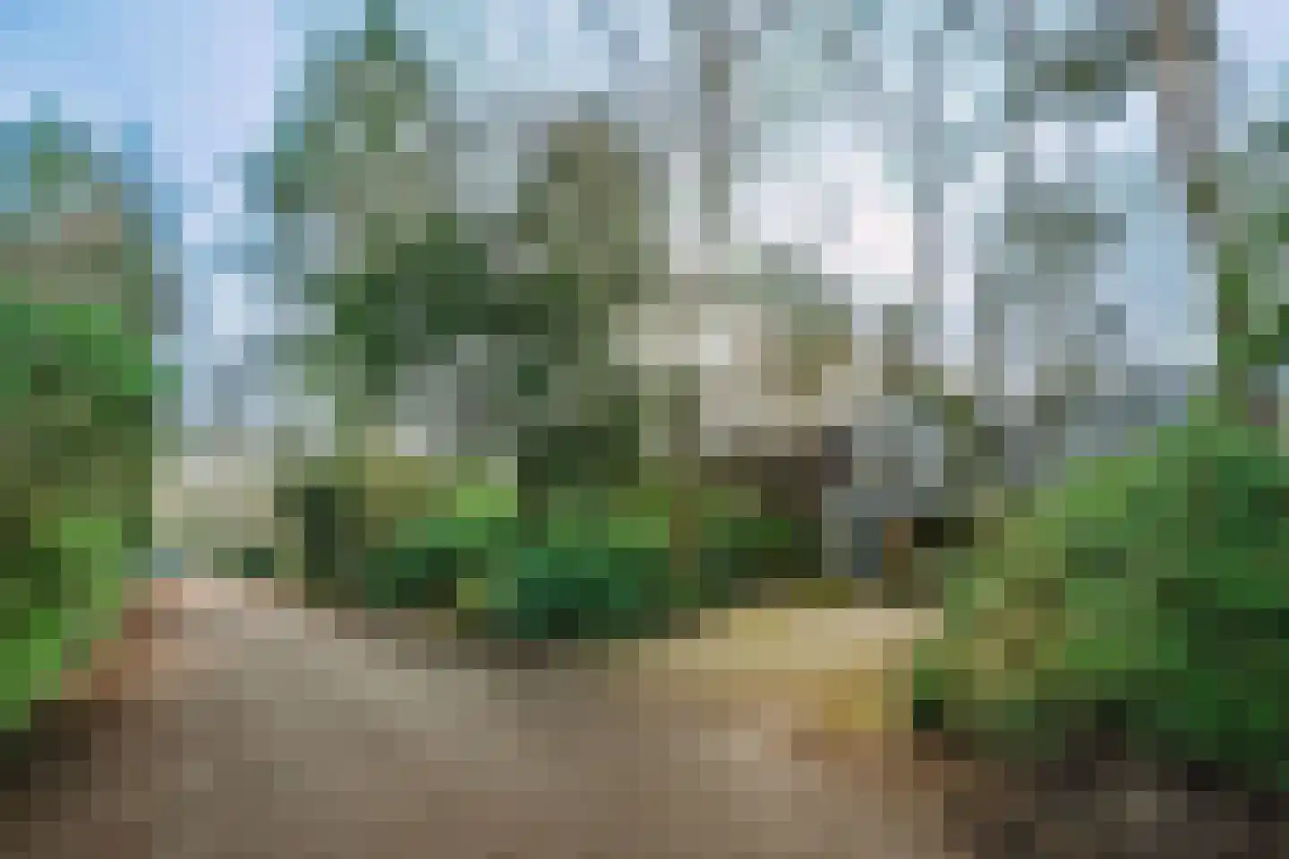 Hamsterlaan 7 Wageningen thumbnail 53