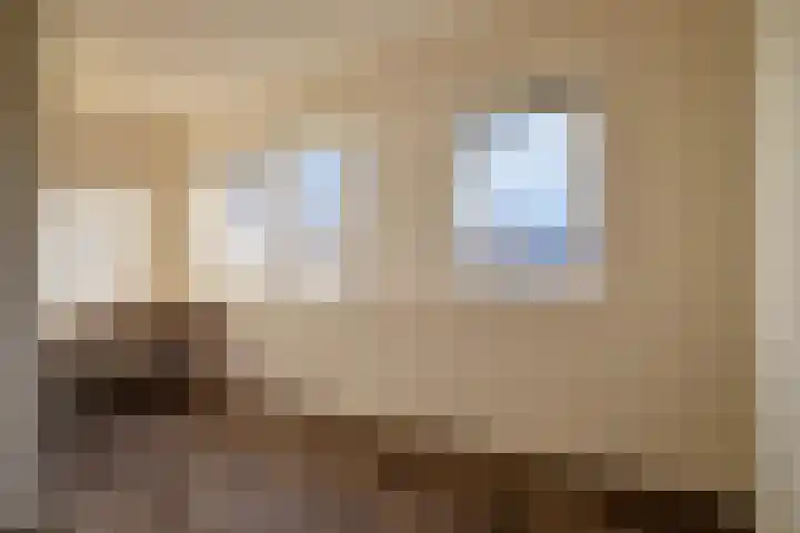 Hamsterstraat 1 C Helmond thumbnail 17