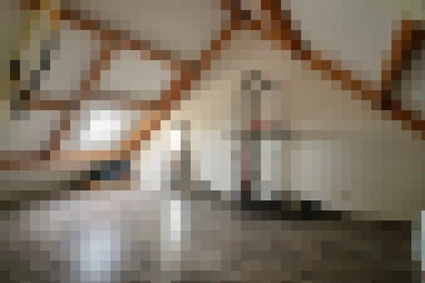 Hamsterstraat 1 C Helmond thumbnail 21