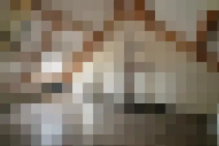 Hamsterstraat 1 C Helmond thumbnail 22
