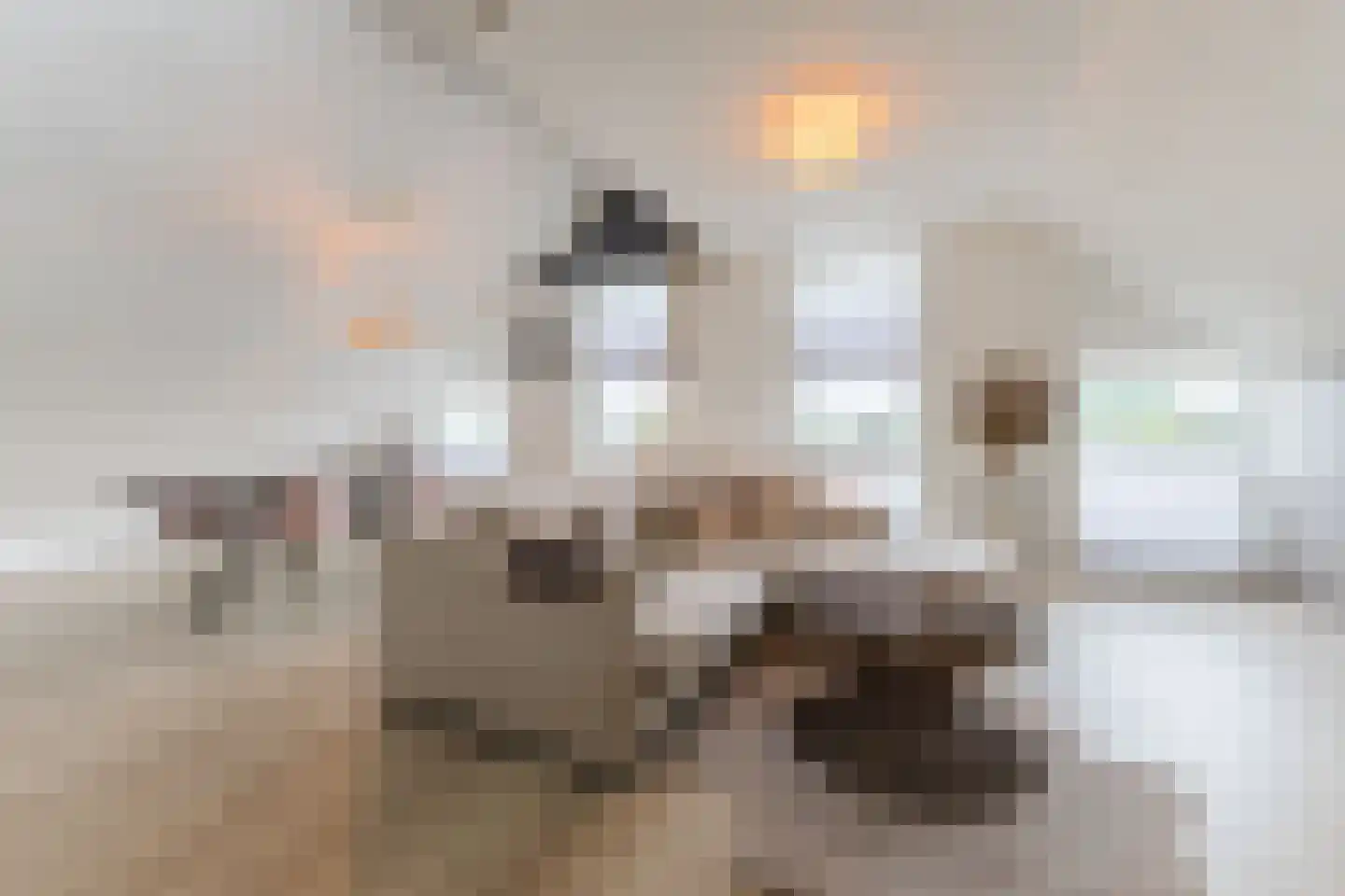 Hamsterstraat 143 Helmond thumbnail 11