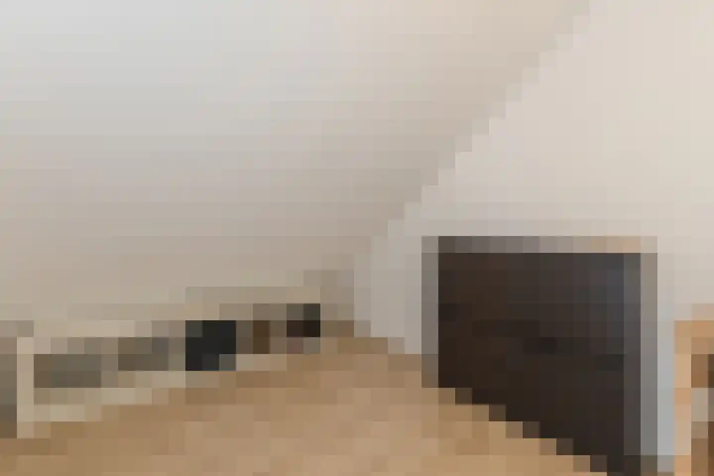 Hamsterstraat 143 Helmond thumbnail 21