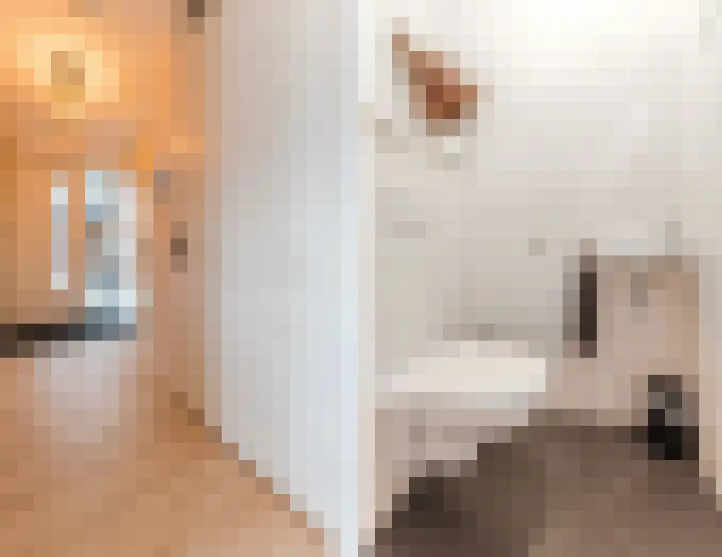 Hamsterstraat 143 Helmond thumbnail 27