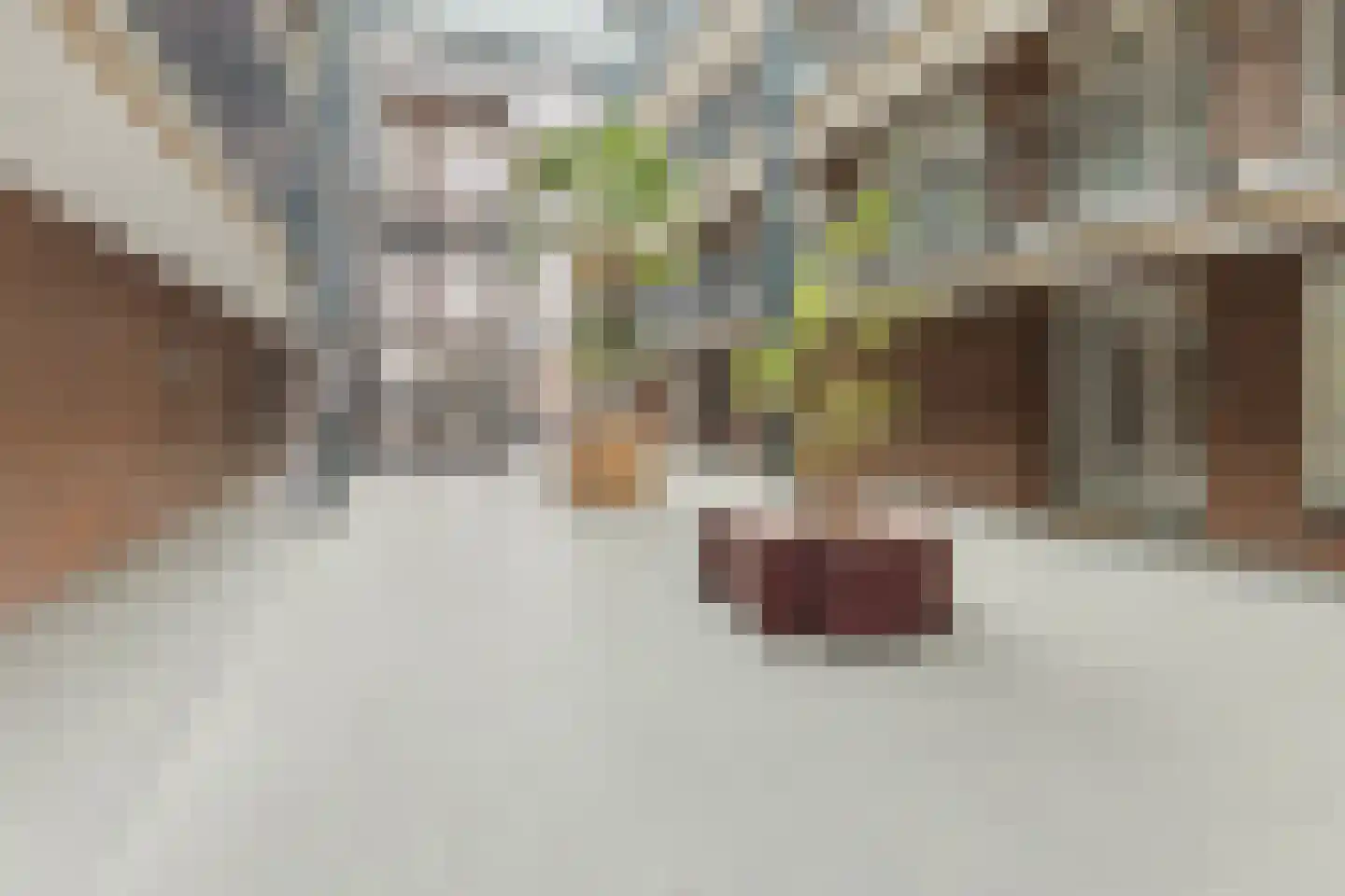 Hamsterstraat 143 Helmond thumbnail 8