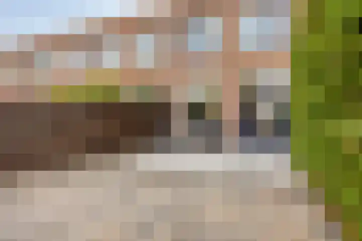 Hamsterstraat 22 Almere thumbnail 11