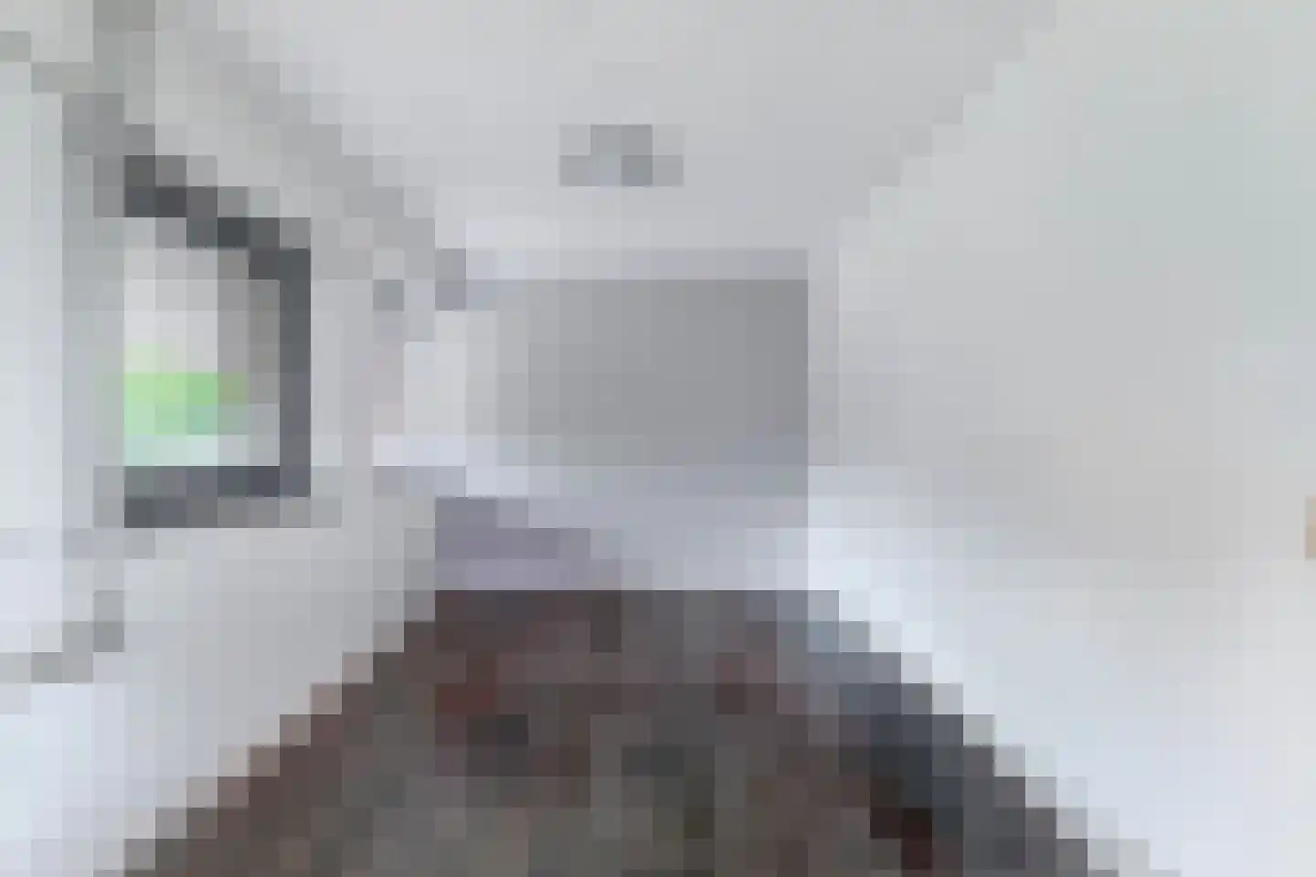 Hamsterstraat 3 Helmond thumbnail 23