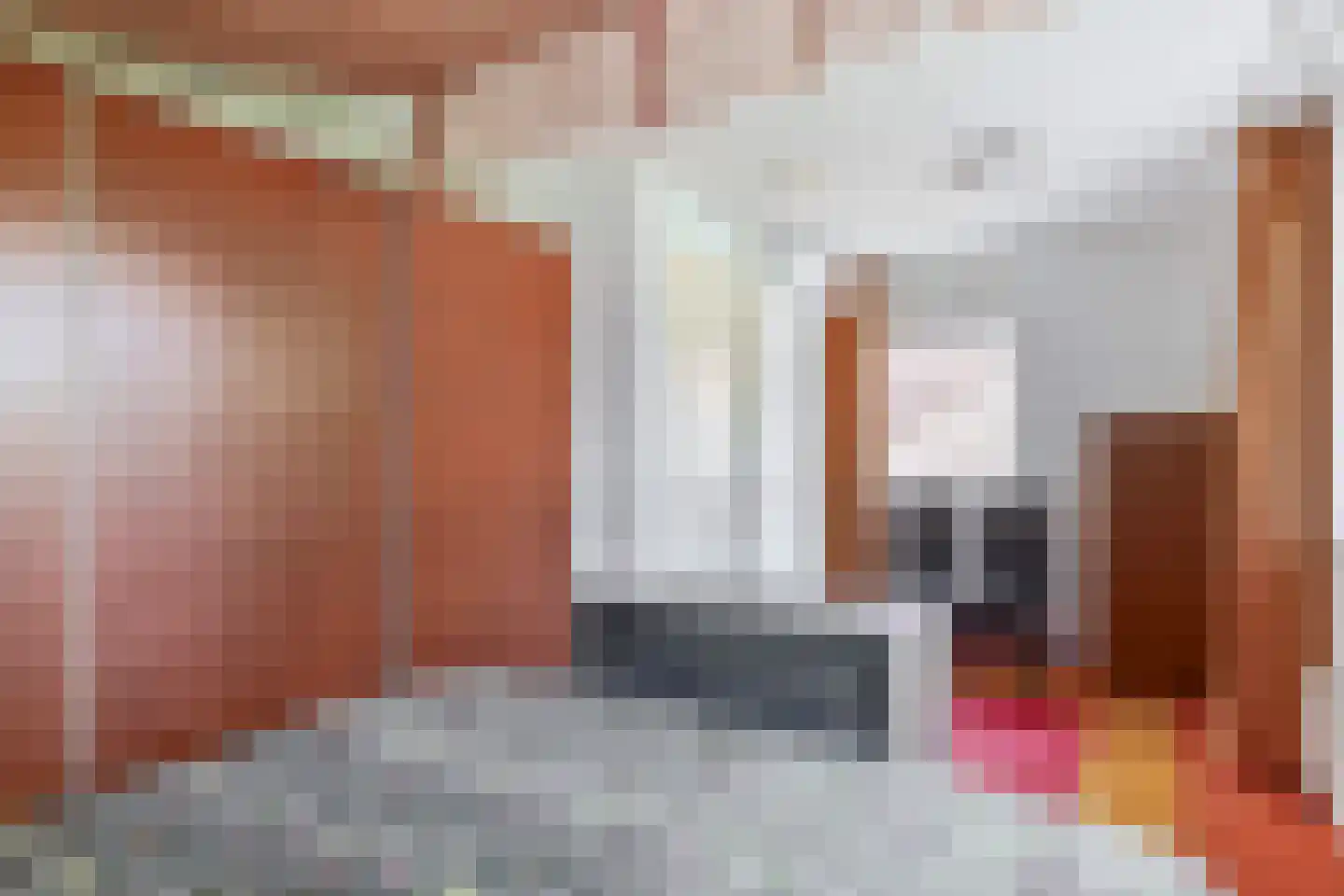 Hamsterstraat 3 Helmond thumbnail 23