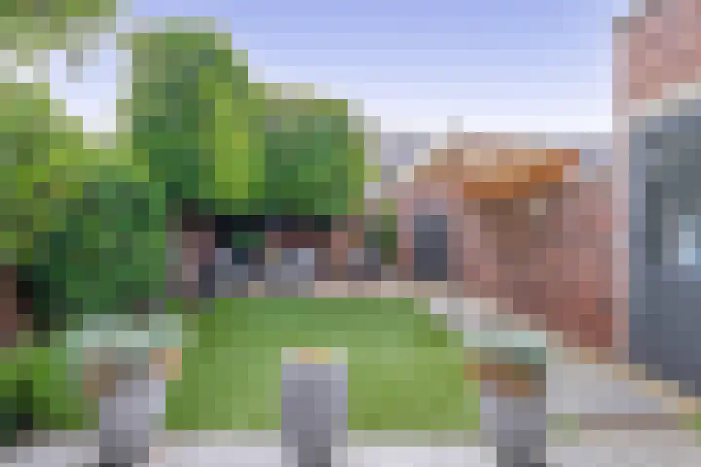 Hamsterstraat 3 Helmond thumbnail 25