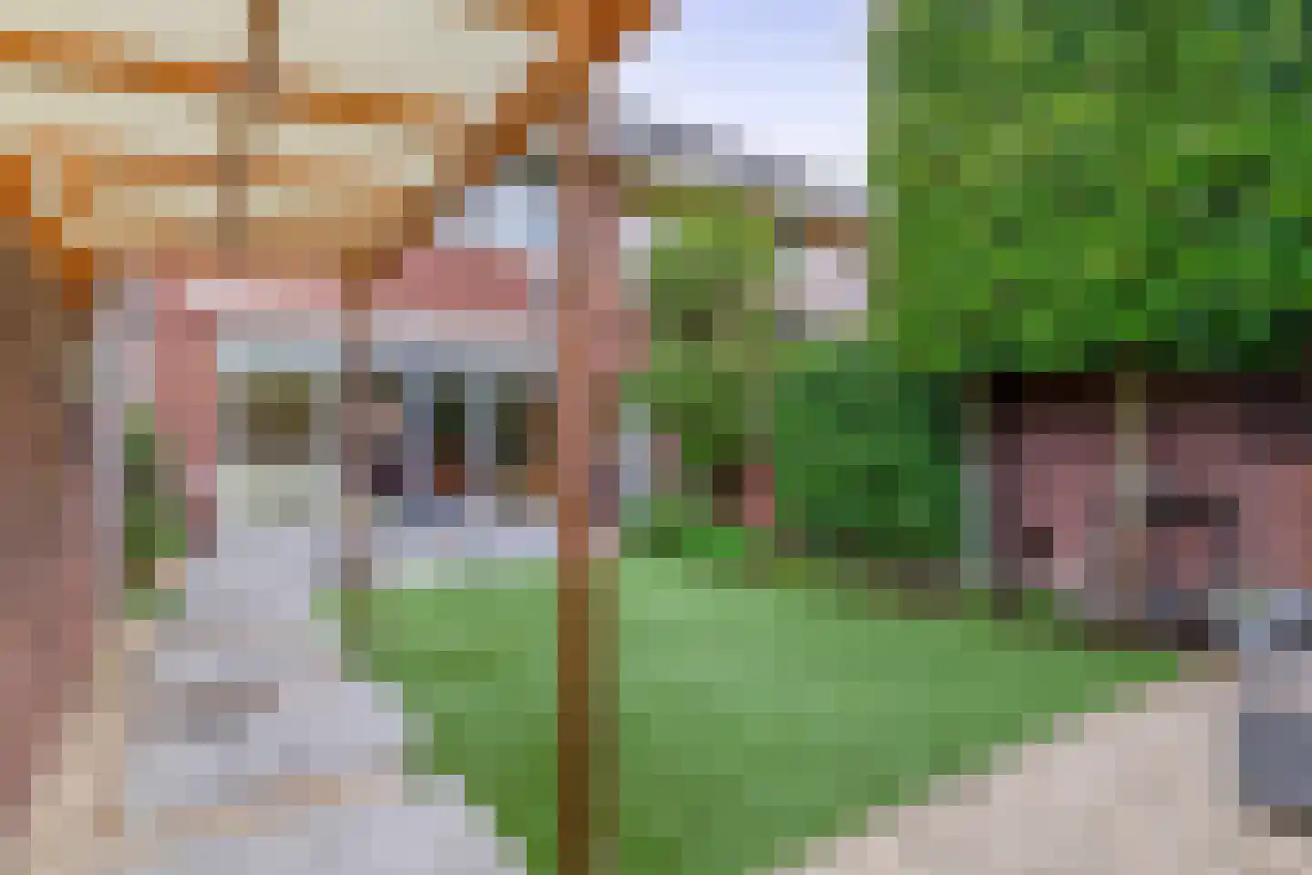 Hamsterstraat 3 Helmond thumbnail 28