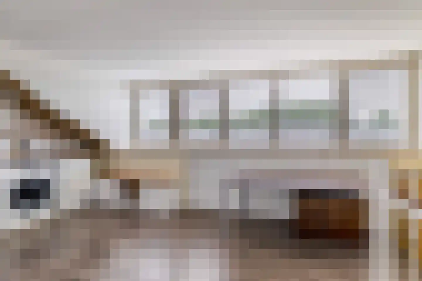 Hamsterstraat 3 Helmond thumbnail 30