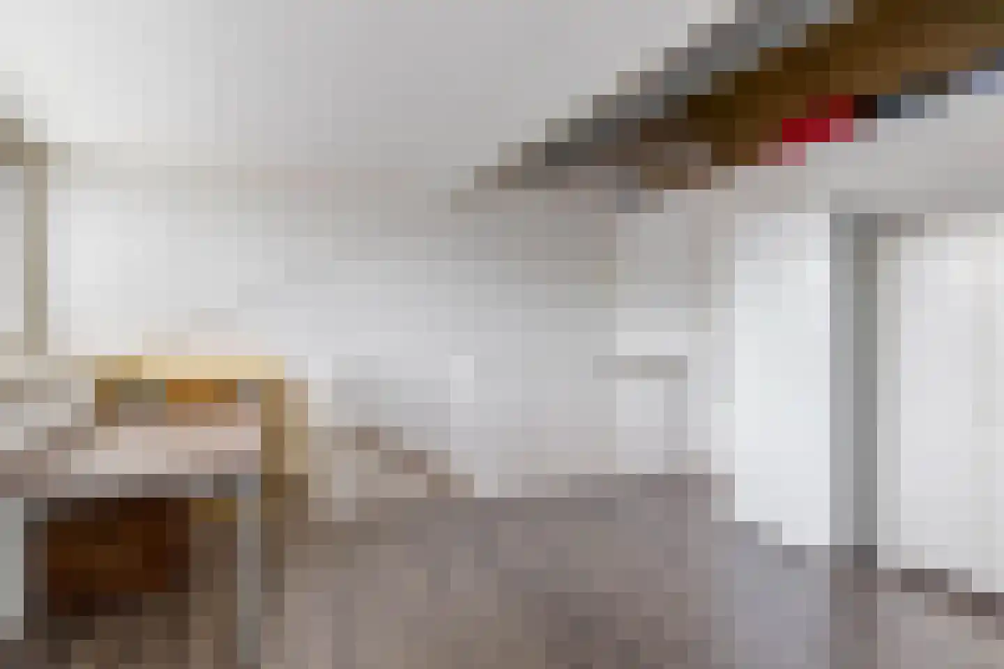 Hamsterstraat 3 Helmond thumbnail 31