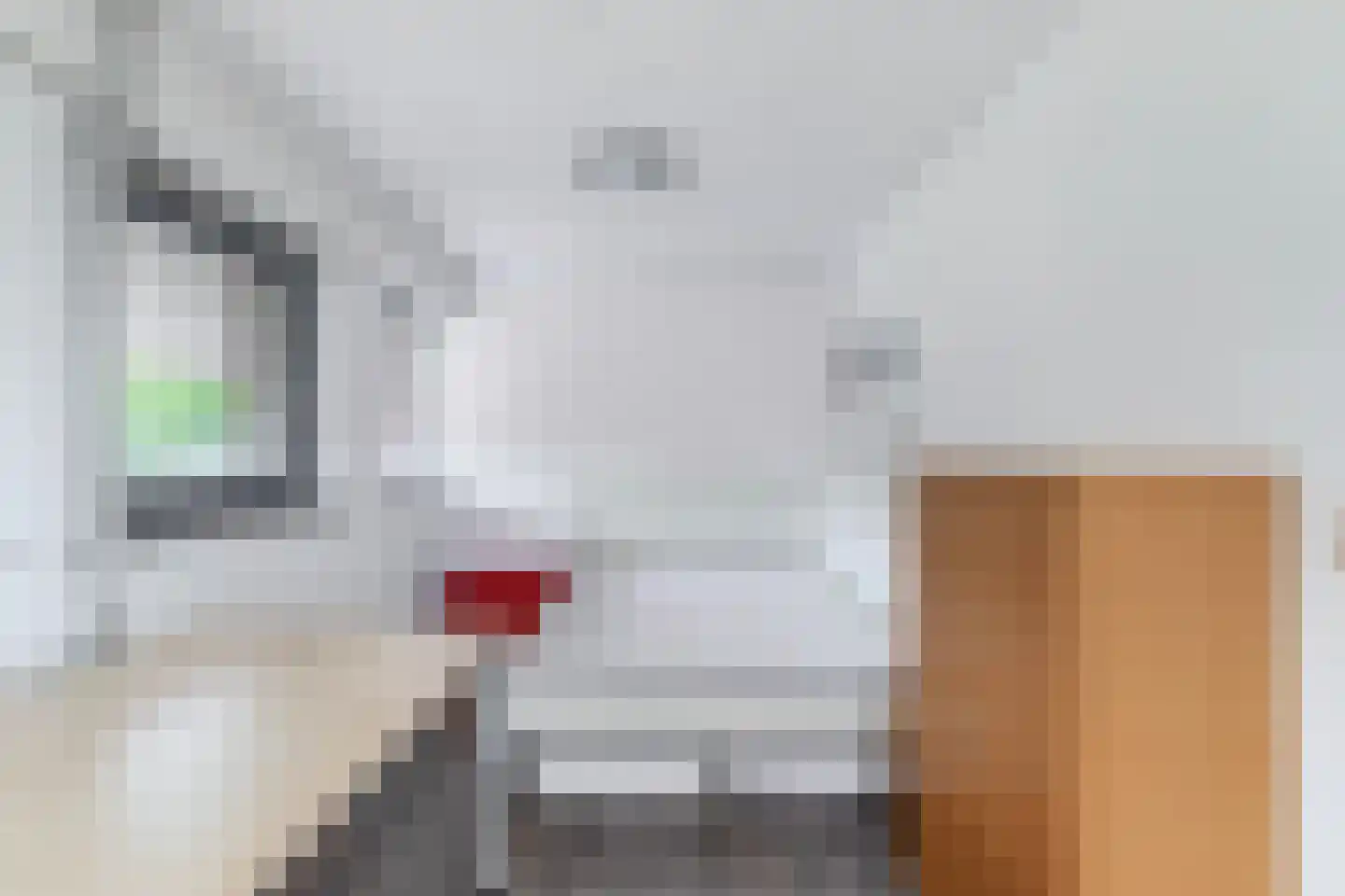 Hamsterstraat 3 Helmond thumbnail 32