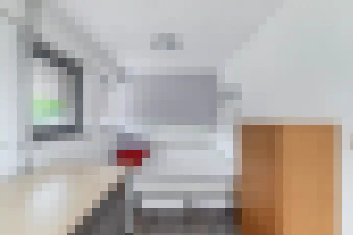 Hamsterstraat 3 Helmond thumbnail 32