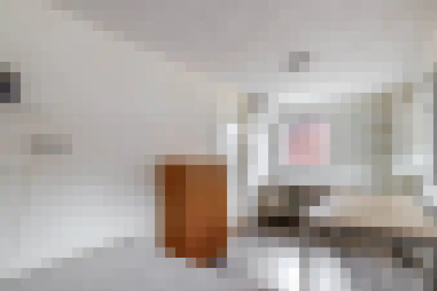 Hamsterstraat 3 Helmond thumbnail 33