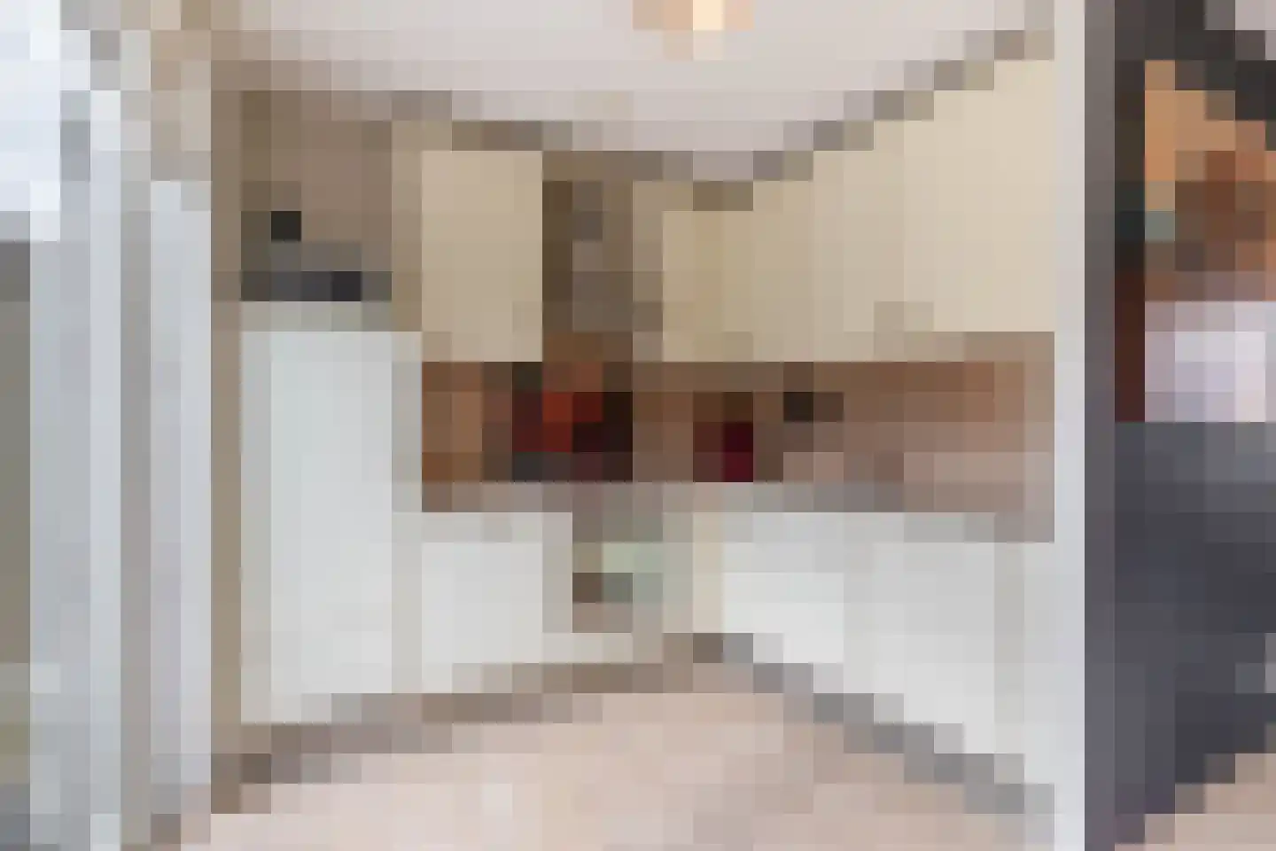 Hamsterstraat 3 Helmond thumbnail 4