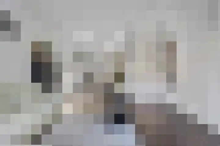 Hamsterstraat 4 Helmond thumbnail 14
