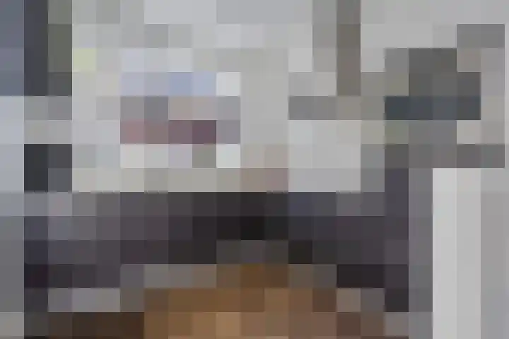 Hamsterstraat 4 Helmond thumbnail 18