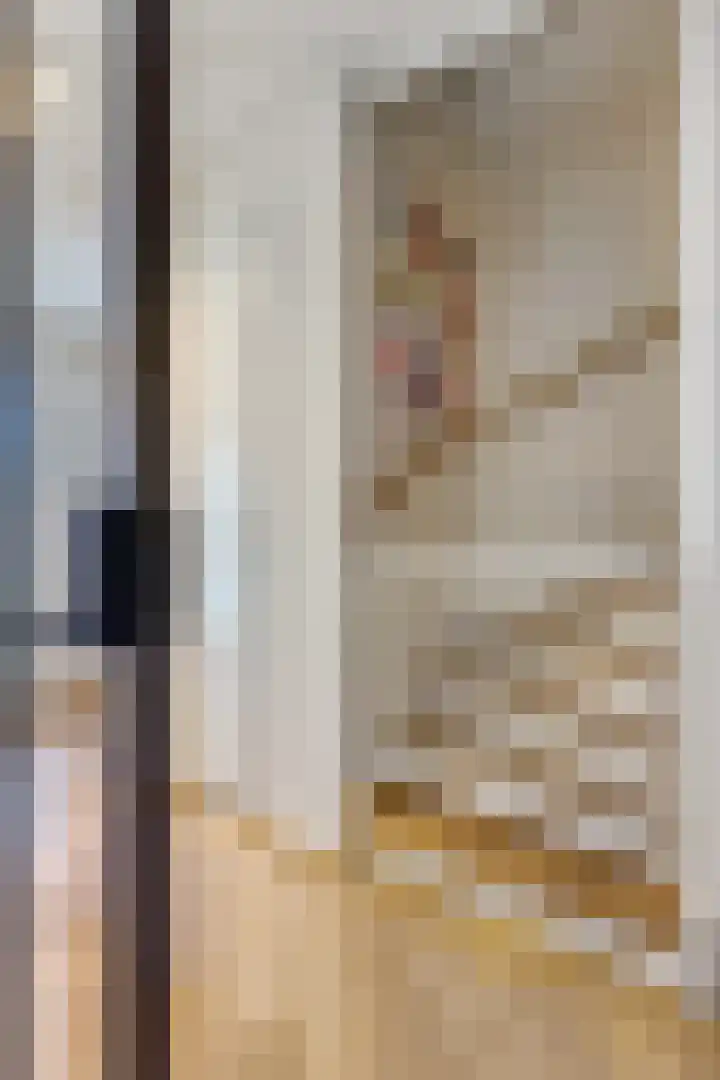 Hamsterstraat 4 Helmond thumbnail 22