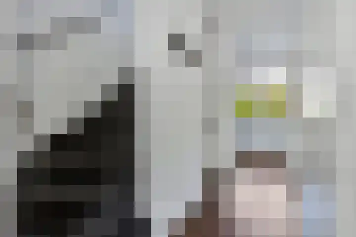 Hamsterstraat 4 Helmond thumbnail 33