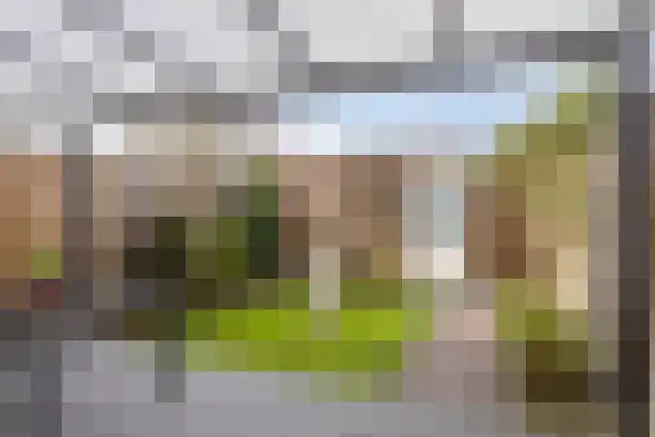Hamsterstraat 4 Helmond thumbnail 36