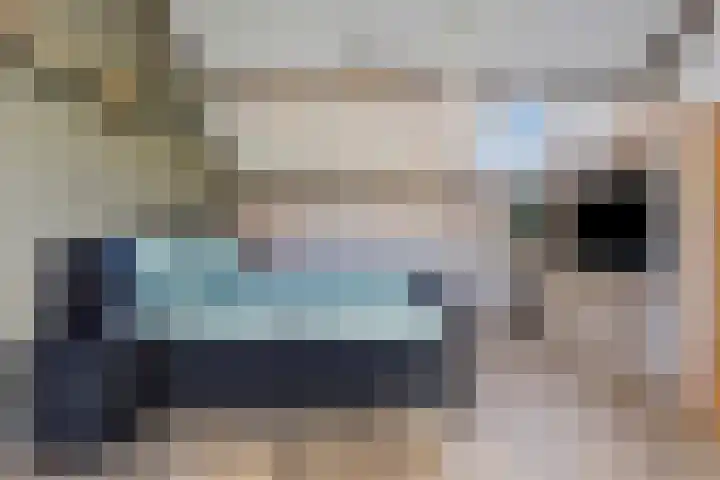Hamsterstraat 4 Helmond thumbnail 36