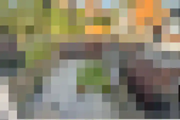 Hamsterstraat 4 Helmond thumbnail 37