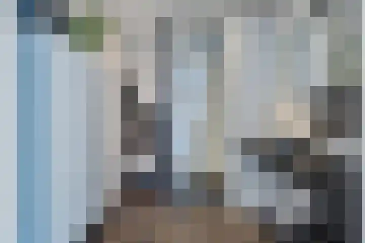Hamsterstraat 4 Helmond thumbnail 5