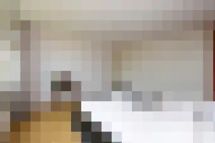 Hamsterstraat 4 Helmond thumbnail 7