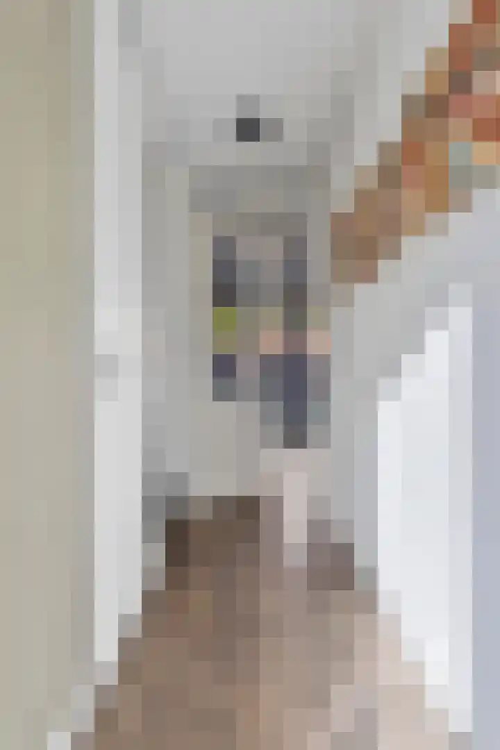 Hamsterstraat 4 Helmond thumbnail 8