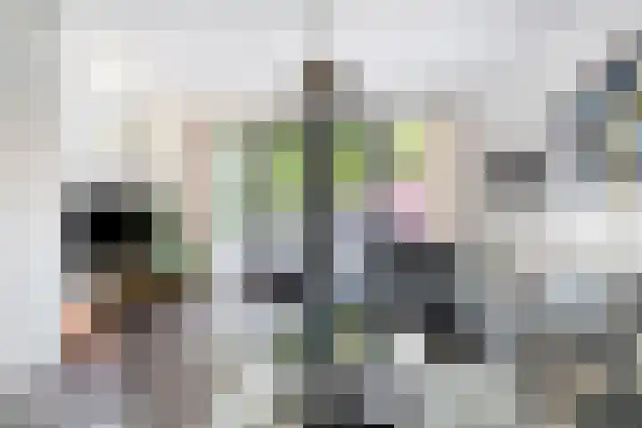 Hamsterstraat 8 Helmond thumbnail 13