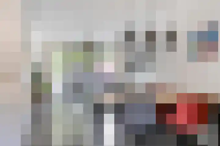 Hamsterstraat 8 Helmond thumbnail 15