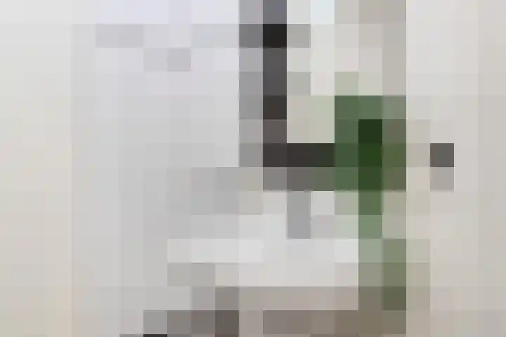 Hamsterstraat 8 Helmond thumbnail 26