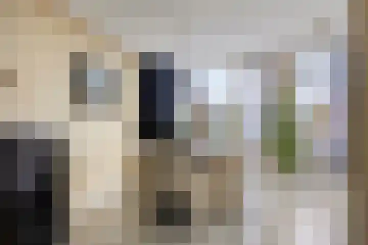 Hamsterstraat 8 Helmond thumbnail 27