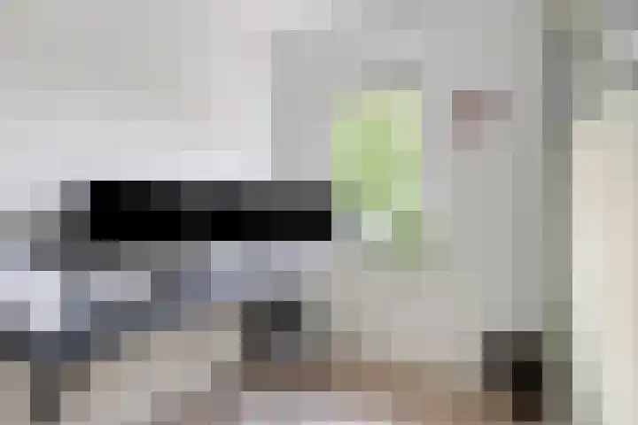 Hamsterstraat 8 Helmond thumbnail 32