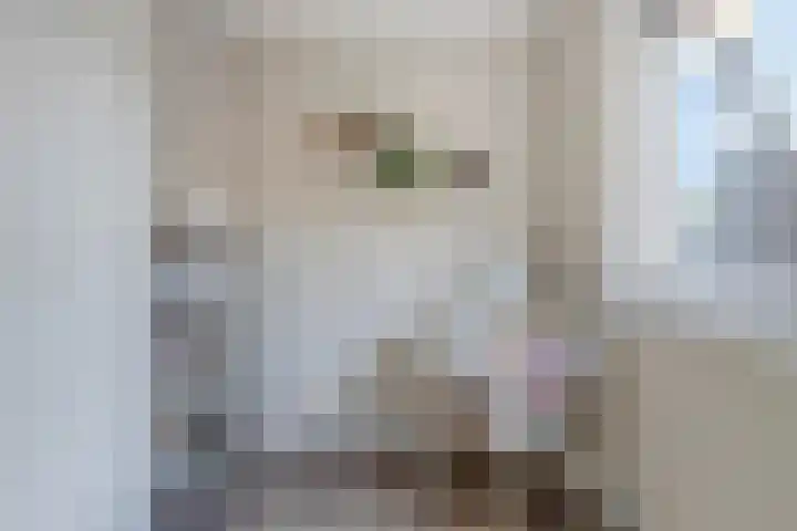 Hamsterstraat 8 Helmond thumbnail 33
