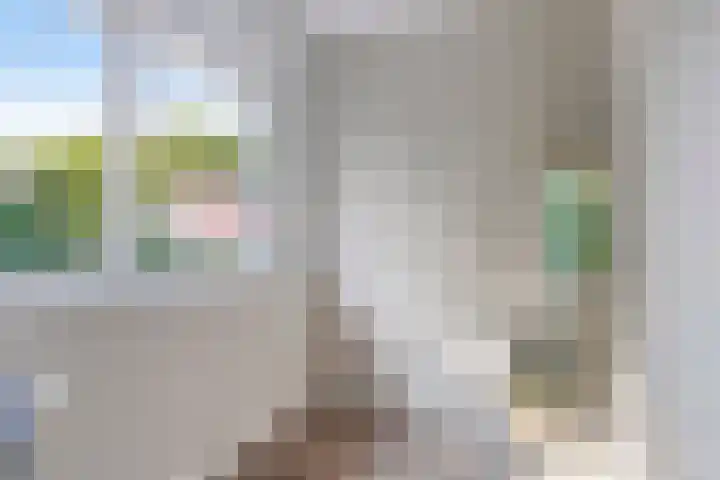 Hamsterstraat 8 Helmond thumbnail 34
