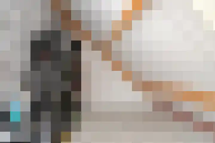 Hamsterstraat 8 Helmond thumbnail 38