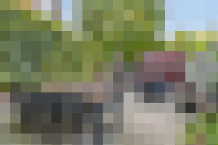 Hamsterstraat 8 Helmond thumbnail 41