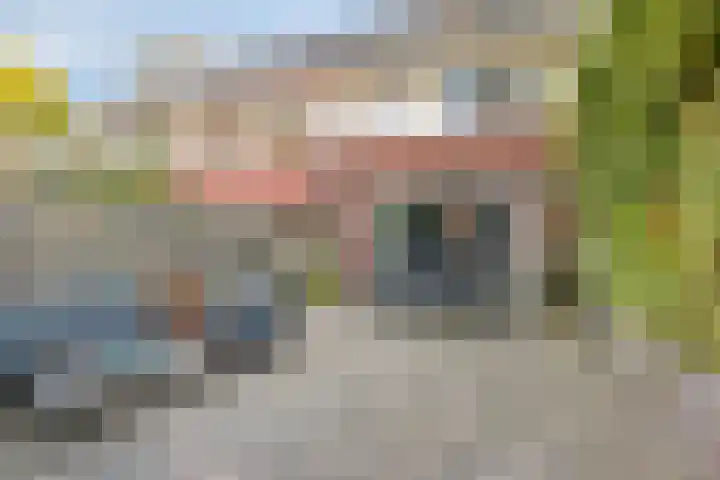 Hamsterstraat 8 Helmond thumbnail 44