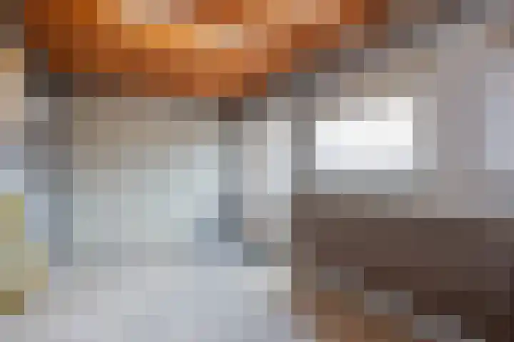 Hamsterstraat 8 Helmond thumbnail 6