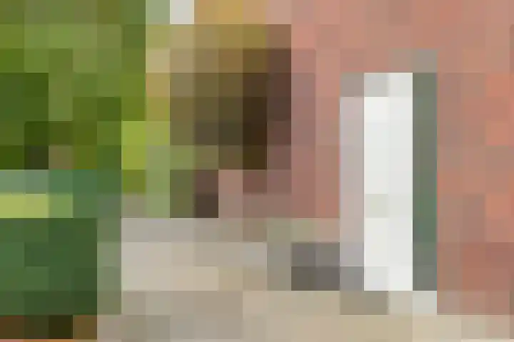 Hamsterstraat 8 Helmond thumbnail 7