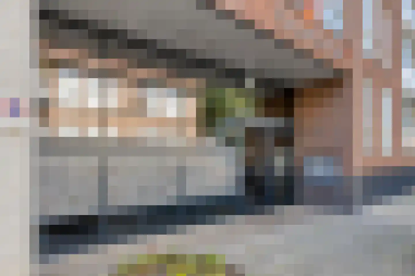 Hamsterstraat 93 Helmond thumbnail 11
